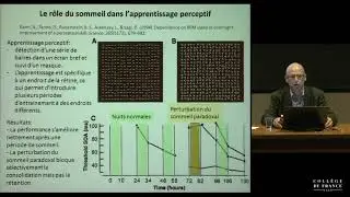 Fondements cognitifs des apprentissages scolaires (4) - Stanislas Dehaene (2014-2015)