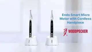 DTE Woodpecker Endosmart  |  Cordless Endo Motor | In UK by VSDent