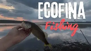 Bass and a Mystery Fish - first time fishing in Ecofina