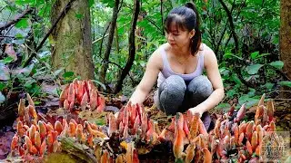 Solo Girl Harvesting Wild Mushroom Goes To Market Sell, Take care animals in farm #bushcraft