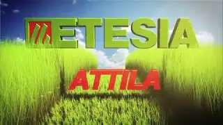 КОСИЛКИ ДЛЯ КОШЕНИЯ ПОРОСЛИ (КУСТОРЕЗЫ) ETESIA Famille ATTILA