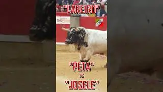 🔴 