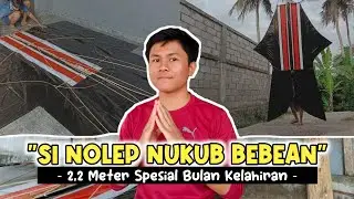 KOK KAYA GLEBER JANGGAN❓ Nukub (Sampul) Layangan Bebean 2,2M Spesial Bulan Kelahiran