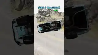 SURVIVAL RATE OF CAR