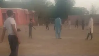 volleyball live