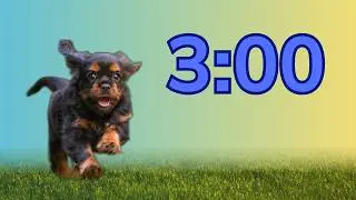 3 Minute Classroom Timer with Dogs