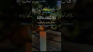 #calm #quranrecitation #ramadan #muslims #islam #quotes #urdu #english #fyp #therapy #healing #sound