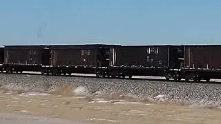 CP Train with lots of old Pacman Cars.