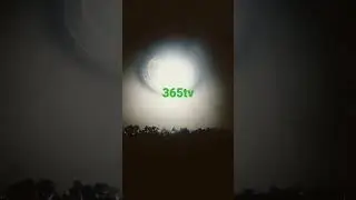 365tv