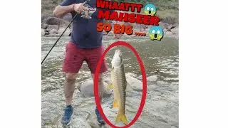 CATCHING AND RELEASING MAHSEER FISH | M.S LODHI | ANGELER | JAMMU