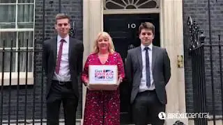 Brexiteers take anti-Chequers petition to Downing Street