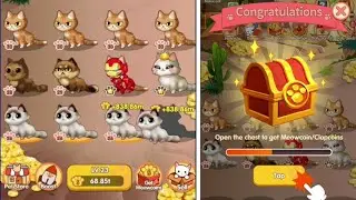 How To Make Money with Coin Cat game from Clip Claps 2021, Download in description 👇
