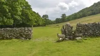 Starbotton & Old Cote Moor Top