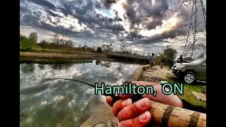 Urban Ultralight Carp Fishing in Hamilton, ON