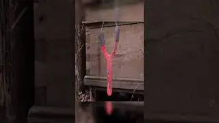 Forging a SLINGSHOT out of Rusted PLOWSHARE - From Farm Tool to Survival Weapon!