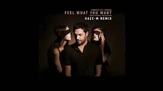 Phonique: Feel What You Want feat. Rebecca (Haze-M Remix)
