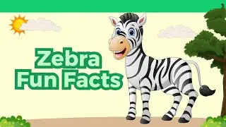 Amazing Zebra Facts for Kids