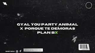 GYAL YOU PARTY ANIMAL X PORQUE TE DEMORAS - DJ JUAN SAAVEDRA X PLAN B