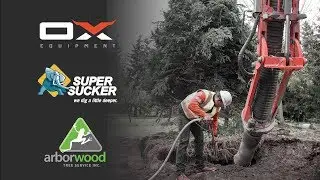 Moving Trees with Dry Suction Excavation