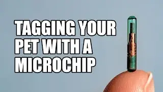 Tagging your pet with a microchip