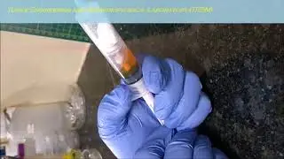 Prefilled Dual chamber syringe