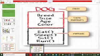 Java 1|| Basic Concept of oop|| class|| object ||field|| method