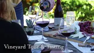 Vineyard Tour and Wine Tasting | Red Car Wine | Sonoma County Winery Experiences