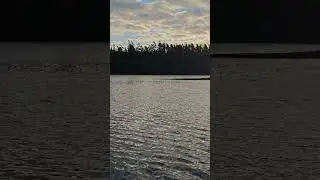 Angeln vom Boot in Schweden beim Sonnenuntergang 🎣🌅🇸🇪