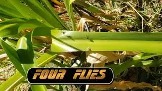 Spring Loaded Fly Gun (The Eliminator) Available on Amazon