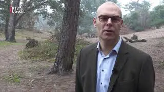 Gemeente wil af van bos, organisatie Utrechts Landschap staat te springen [RTV Utrecht]