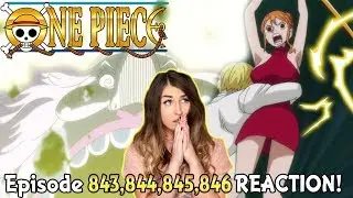 NAMI'S ZEUS BREEZE TEMPO! 🌩️⚡One Piece Episode 843, 844, 845, 846 REACTION!