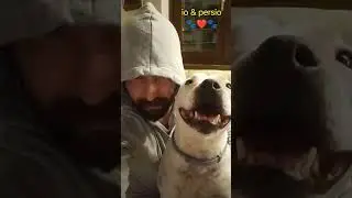omo/donna avvisato .. mezzo salvato 🤣❤️🤣