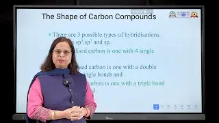 Aldehydes, Ketones and Carboxylic Acids  | Class 11&ndash;12 Chemistry | Complete Chapter Revision | SOU