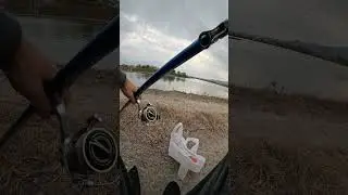 #375298 #magiqych #vlog #shorts