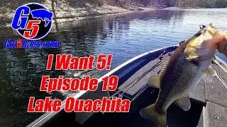 Lake Ouachita Bass Fishing - I Want 5! #arkansasbassfishing #bassfishing #nekorig