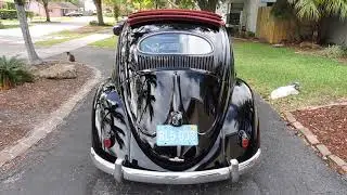 1954 / 1955 Rag-Top Oval Window Beetle Walk Around