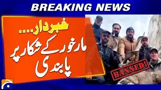 Federal government bans hunting of non-export table markhor | Geo News