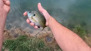 Redneck flyfishin'!?! A how to instructional. Late summer fish can't resist!