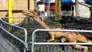 Six Flags New England Dinosaurs  A Walk Thru Experience Opening Day 2021 Part 1#sixflagsnewengland