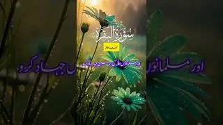 surah baqarah ayat no 244.#talawatequranepak #emanchannel #motivation #quran #ytshorts #love