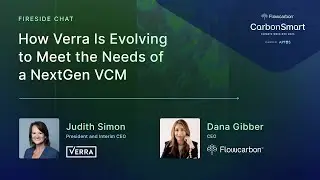 How Verra Is Evolving to Meet the Needs of a NextGen VCM