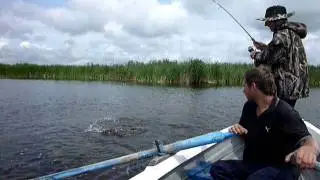 Danube Delta - 29 June 2011 - Pike 62 cm
