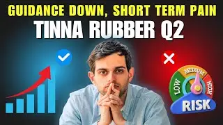 TINNA RUBBER Q2 CONCALL | GUIDANCE REVISED | LONG TERM GROWTH INTACT SHORT TERM PAIN | PROJECT DELAY
