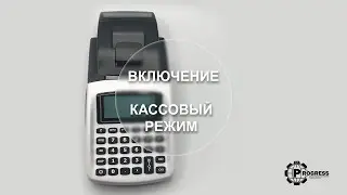 Включение. Кассовый режим. Daisy eXpert SX ONLINE. Инструкция пользователя