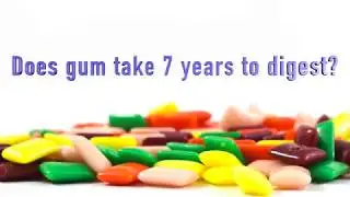 #KuriousKiddos Ask: Does Gum Really Take 7 Years To Digest?