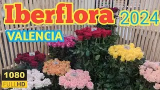 Feria Internacional de Planta y Flor 2024 valencia HD, #iberflora24, #valencia2024, #horticultura