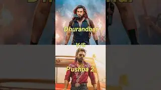 Dhurandhar V/S Pushpa 2 | 20 Days Box Office Collection Comparison