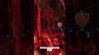 Mau P b2b Troxler at Day zero festival Tulum 🇲🇽🌴 #technodance #technolovers
