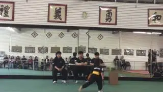 melodie kung fu yellow belt test