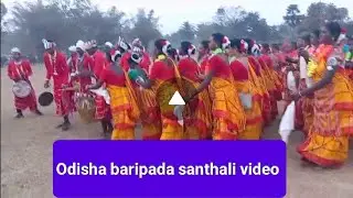 Odisha adivasi santhali dance video